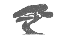 animus